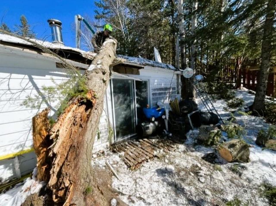 Arbre cassé tombé contre une maison en hiver