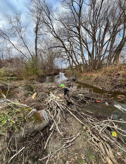 Accumulation de branches et de débris près d’un cours d’eau