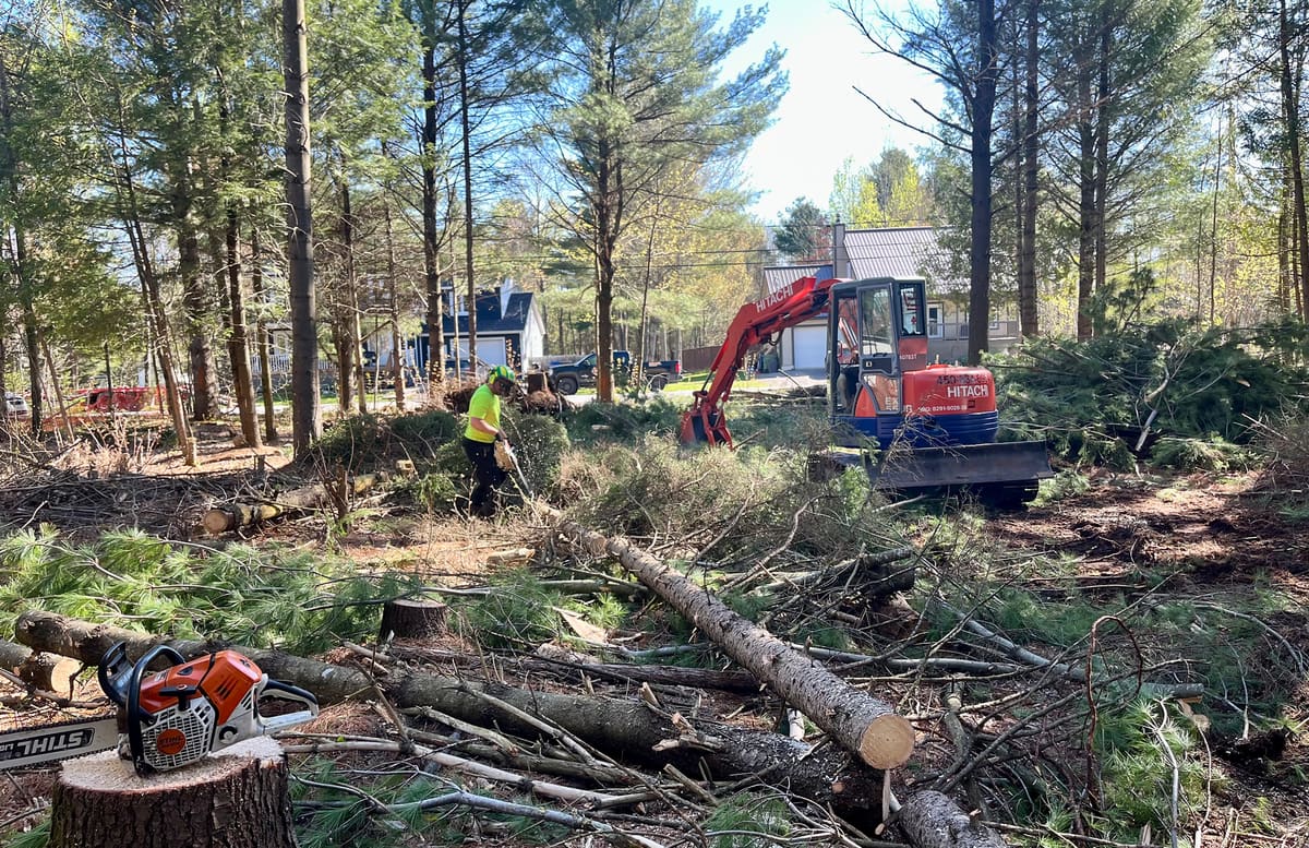 Terrain boisé en cours de déboisement avec une pelle mécanique