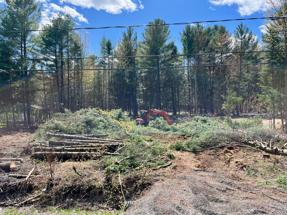 Corridor déboisé dans une forêt de conifères