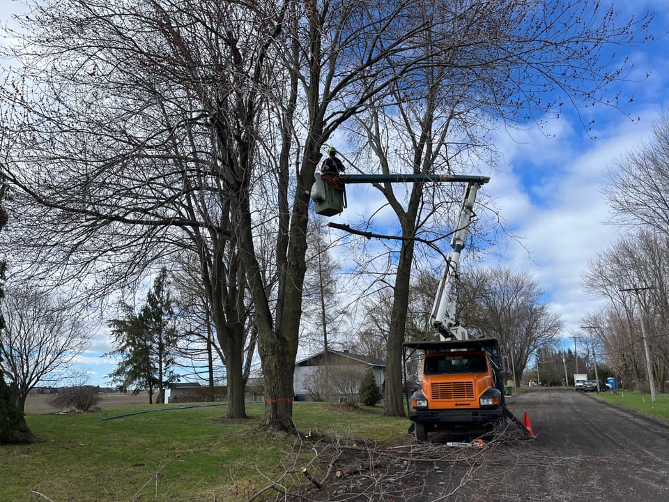 Camion et déchiqueteuse d’Arbo-Tech près d’une zone boisée