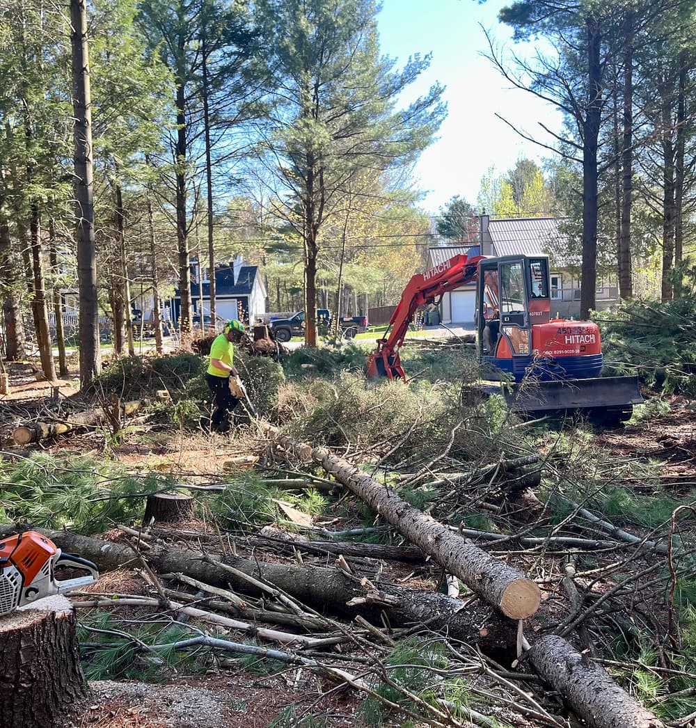 Déboisement — Arbo-Tech Lanaudière